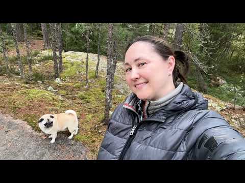 Видео: 7 октября 2025 г.