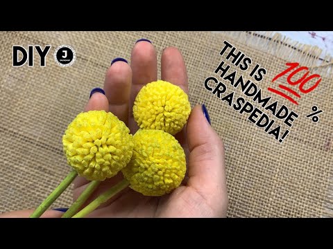 Видео: DIY🌼. Как сделать. Краспедия из зефирного фоамирана.