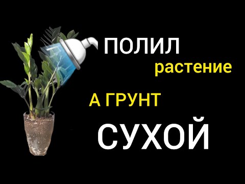 Видео: ПОЧЕМУ после полива ГРУНТ СУХОЙ | РАЗРЫХЛИТЕЛИ 50% или 70%
