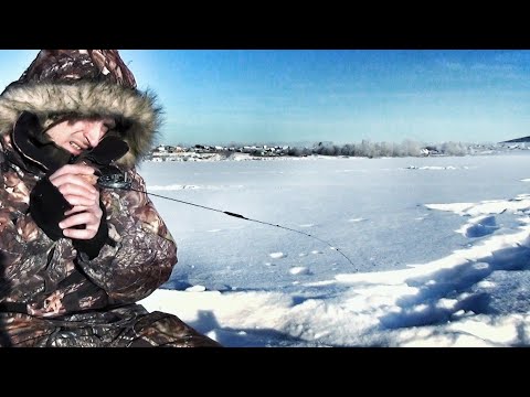 Видео: КАРБОНОВЫЙ СТОРОЖОК ДЛЯ БЕЗМОТЫЛКИ, изготовление по Зуеву