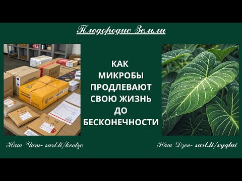 Видео: Органическая жизнь растений отличается от их биологического существования №851/25