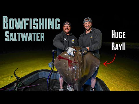 Видео: Барракуды и скаты | Морская боуфишинговая рыбалка