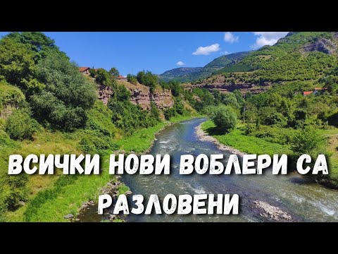 Видео: РИБОЛОВ НА КЕФАЛ НА РЕКА ИСКЪР