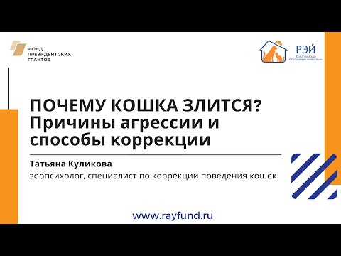 Видео: Почему кошка злится? Причины агрессии и способы коррекции