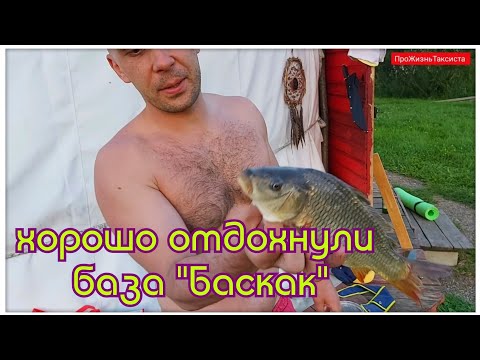 Видео: Отдохнули в Подмосковье на берегу красивейшего озера | База отдыха "Баскак" | Рыбалка и отдых