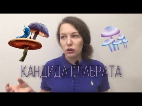 Видео: КАНДИДОЗ, КАНДИДА ГЛАБРАТА | Мой опыт лечения