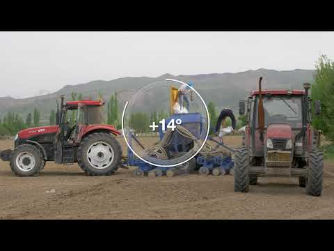 Видео: Сояны өстүрүү боюнча кеңештер