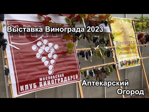 Видео: Выставка винограда в "Аптекарском огороде"  МГУ Москва 2023 год.