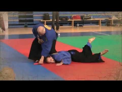 Видео: Основатель стиля Самообороны Реальное айкидо - Грандмастер Любомир Врачаревич 10 Дан