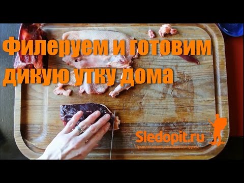 Видео: Филеруем и готовим дикую утку
