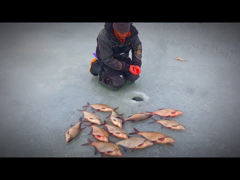 Видео: ЛОВЛЯ ЛЕЩА ЗИМОЙ НА МОРМЫШКУ. Зимняя рыбалка на Леща