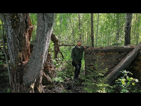 Видео: Путешествие в УНЖЛАГ. Труднодоступная деревня БОЛЬШАЯ ТОРЗАТЬ. ОЛП 4, БИРЖА и Подкомандировка 18.