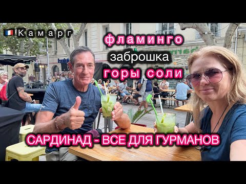 Видео: Французские каникулы. Планы рухнули, но выход нашелся.