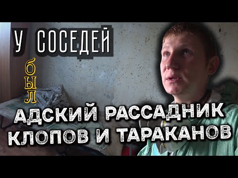 Видео: Клопы и тараканы у соседей, огромный очаг — как решилась проблема