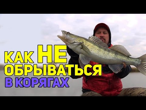 Видео: Ловля джигом в коряжнике. Как не обрывать приманки и поймать рыбу