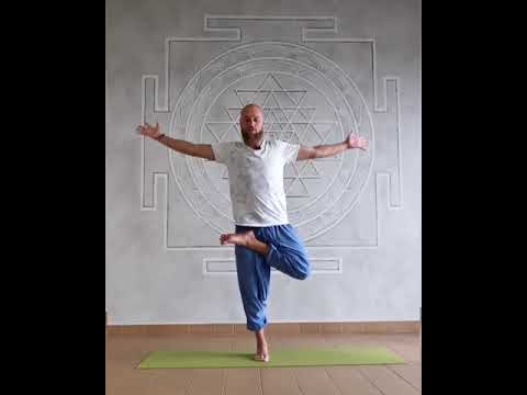 Видео: Полная йога практика | 80 МИН | Йога для всего тела