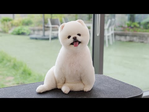 Видео: Ты, мы можем поговорить?