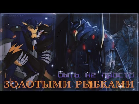 Видео: Дредвинг × Эйрахнида 💙🖤~ Золотыми рыбками~{ТФП}