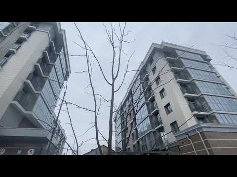 Видео: Формирующая обрезка липы. «Лесная» липа обрезка. Обрезка лиственных деревьев. Пороки кроны.