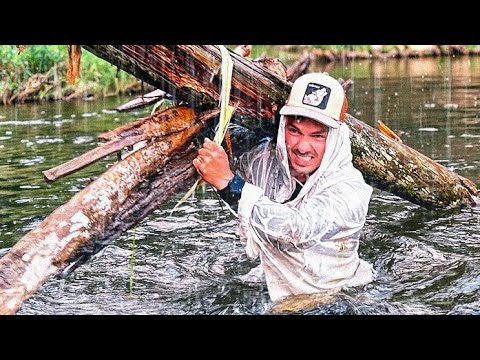 Видео: ВЫЖИТЬ в ДИКОМ ЛЕСУ БЕЗ ЕДЫ - Всего 4 ВЕЩИ! МИНИМУМ СНАРЯЖЕНИЯ - ОНИ ОСТАВИЛИ МЕНЯ