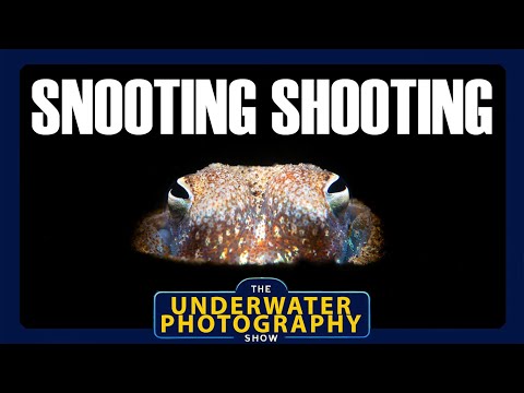 Видео: Советы и приемы стрельбы с помощью тубусов