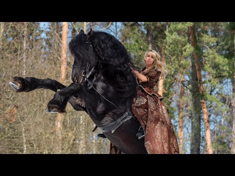 Видео: Рассказ о себе и ответы на вопросы))