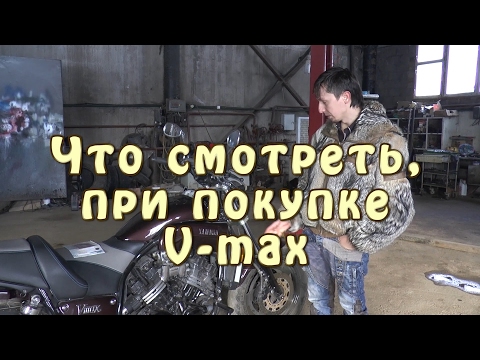 Видео: Как мы купили V-max. Что смотреть при покупке V-max