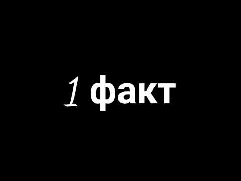 Видео: | Пони креатор | 15 фактов о моей ос |