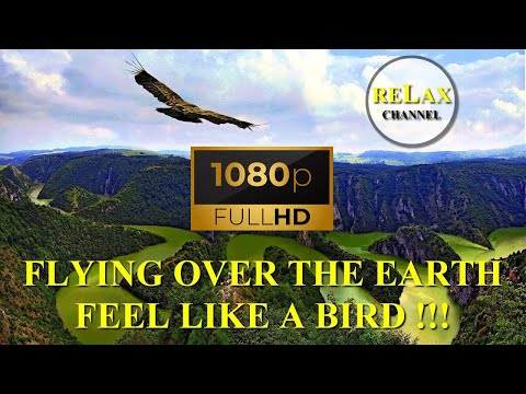 Видео: КРАСИВАЯ ПРИРОДА С ВЫСОТЫ ПТИЧЬЕГО ПОЛЁТА