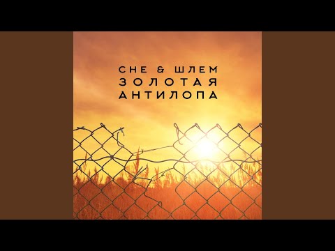 Видео: Золотая антилопа