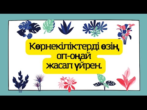 Видео: Көрнекіліктерді оп-оңай жасап үйреніңіз