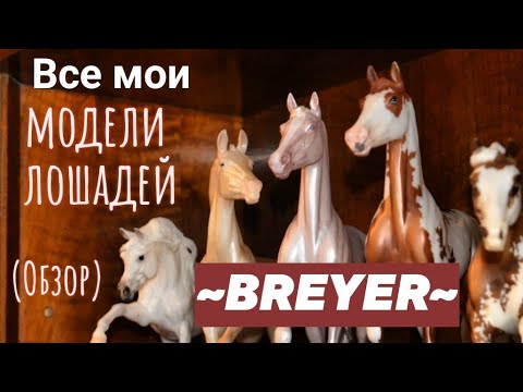 Видео: ~Обзор всех моих моделей BREYER!!!~