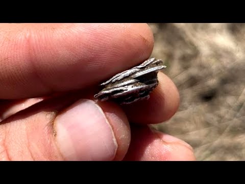 Видео: Нашли залипухи серебра! Коп на холме с XP DEUS 2. Кладоискатель Руся.