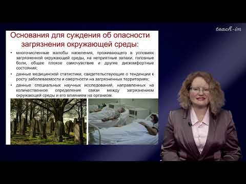 Видео: Тимофеева Е.А. - Химическое загрязнение биосферы - 12. Оценка риска здоровью от ЗВ