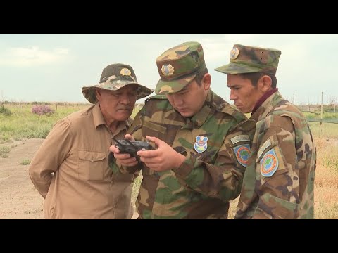 Видео: Балқаш атырабында Тұран жолбарысын жерсіндіру жұмысы жалғасып жатыр