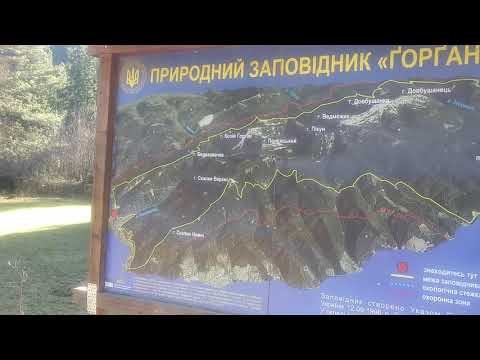 Видео: Село Зелена в Карпатах пограбоване чиновниками із різних сторін.19 листопада 2019