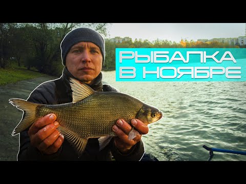 Видео: Ловля леща в ноябре. Тестируем прототип Exterity Superior feeder