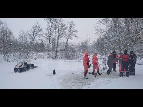 Видео: Спустя 10 дней нашли тело женщины, утонувшей на Крещение в проруби.