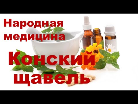 Видео: Конский щавель Авелук Польза и вред