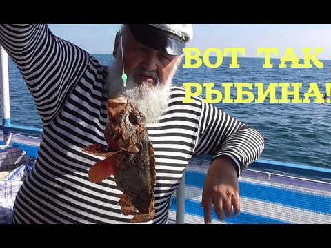 Видео: Ловля бычка на Б Днестровской банке 28 09 19