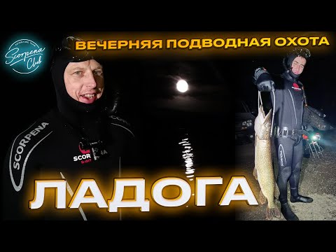 Видео: Подводная охота на Ладоге: Scorpena Club ночная охота в октябре