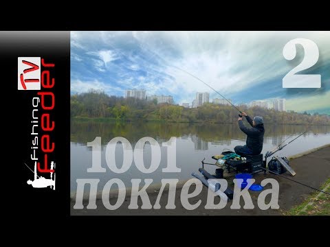 Видео: ☑️Vlog #26 Рыбалка на фидер 1001-поклевка 2 часть. Ловля плотвы осенью на реке. 2018.