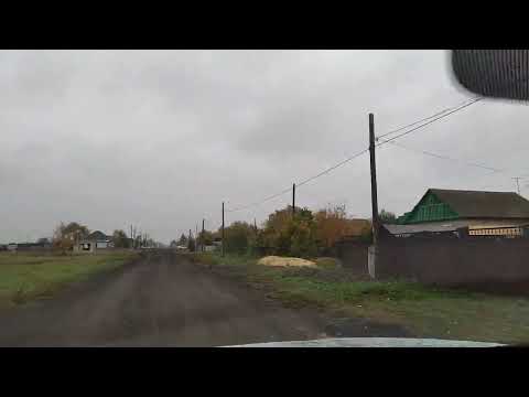 Видео: Золотая осень наступила в городе Тайынша Северного Казахстана.