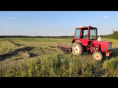 Видео: Гребемо сіно польською гребачкою на т 25 сезон відкрито
