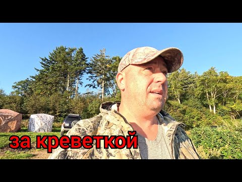 Видео: Отдых на озере. Ловим креветку в конце сентября. о.Сахалин.