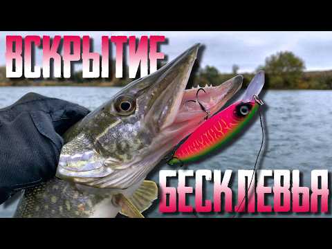 Видео: 🔴 ОНИ УШЛИ но не ВСЕ! Куда пропала щука с моих точек?🔥🤔🔥