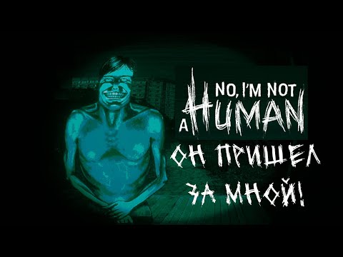 Видео: Нам дали котика! - No, i'm not a human [2]