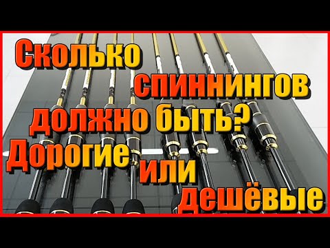 Видео: Какие спиннинги у меня. Обзор моих бюджетных спиннингов. Сколько спиннингов должно быть?