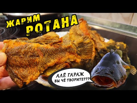 Видео: Жарим Ротана! ЛУЧШЕЕ ВИДЕО!!! Как приготовить РОТАНА!!! ПЕРВЫЙ ЛЁД 2022-23!!! Зимняя рыбалка.