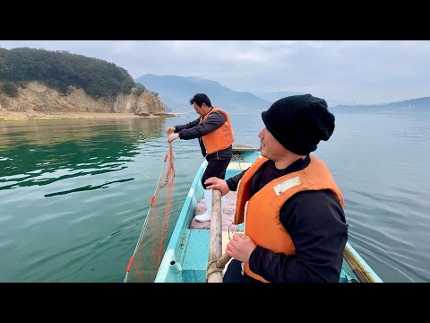 Видео: Практикуйте традиционные методы рыбной ловли с использованием 50-летних сетей на острове Сёдосима.